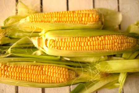 Fresh juicy raw corn on a white wooden table. The smell of summer. View from above