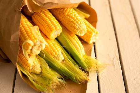 Corn in craft paper as a bouquet on a textured white wooden background. space for textの写真素材