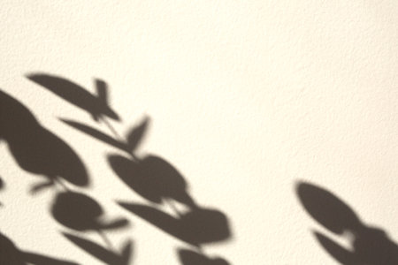 Branch shadow on white textured wall. Perfect for your design. Free space for textの写真素材