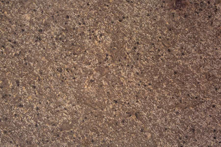 Background texture of the wall of the old church in brown-dark shades and small chips.. Ideal for your design and text placementの写真素材