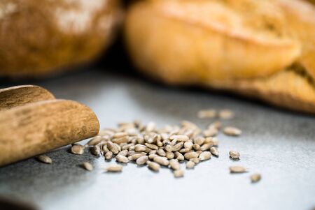 bread compositionの写真素材