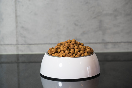 Dog food in bowlの写真素材