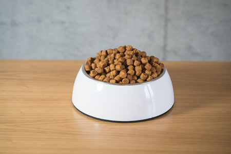 Dog food in bowlの写真素材