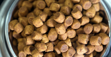 Dog food in bowl