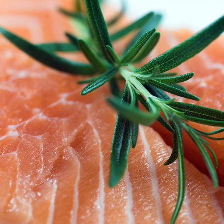 Salmon Fish..Raw salmon fillet pepper salt dill lemon rosemary on wooden table.の写真素材