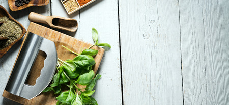 Fresh basil and dry set of spices. place for textの写真素材