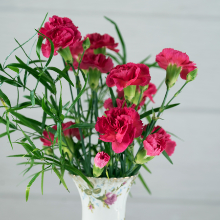 Bouquet of pink carnations on a white backgroundの写真素材