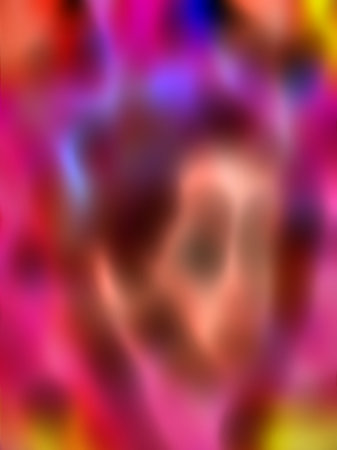 Thrift Shop Buddy Berry Bush Designsの写真素材