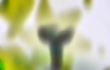 Thrift Shop Buddy Berry Bush Designsの写真素材