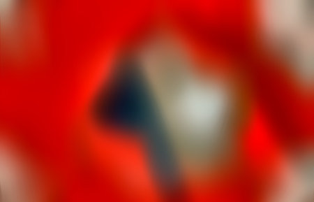 Thrift Shop Buddy Berry Bush Designsの写真素材