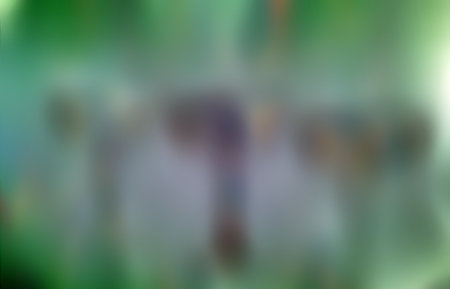 Thrift Shop Buddy Berry Bush Designsの写真素材