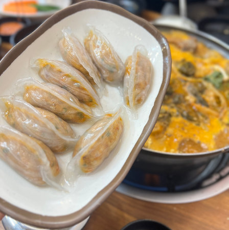 Dumplingsの写真素材