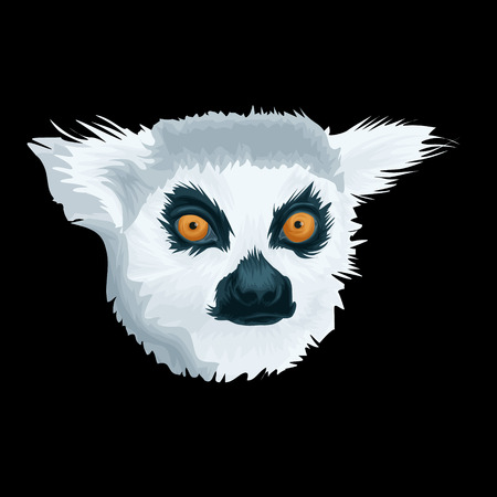 Vector Portrait of Lemur. Illustration of Madagascar lemur on green background detailedのイラスト素材