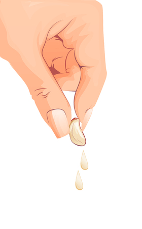 illustration for whole ripe vegetable bitter white garlic, chopped foods sliced on background. juice of garlic consisting of label bittersweet taste food. Eat fresh bitters garlics with handのイラスト素材