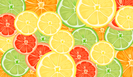 Citrus slices of lemon, orange, lime and grapefruit. Vector illustrationのイラスト素材