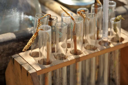 BRUSSELS, BELGIUM-MAY 5, 2013: Details of surrealistic construction decorating Place d'Albertine made for annual Day of Iris - Fete de l'Iris in Brusselsのeditorial素材