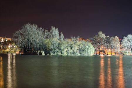 The trees and the lights reflected on the lake surface captured in black and white
の写真素材