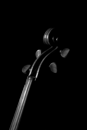 A black and white violin detail against a black back groundの写真素材