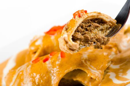 pancakes with meat  and paprika sauceの写真素材