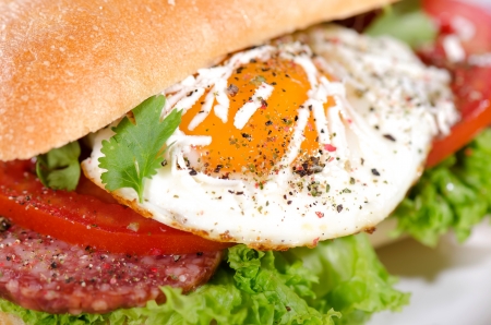 Fresh and tasty sandwich with organic eggの写真素材