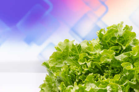 Fresh salad against colorful backgroundの写真素材