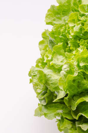 Fresh salad against white backgroundの写真素材