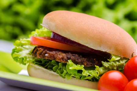 Beef hamburger and cherry tomatoes on a green plate 