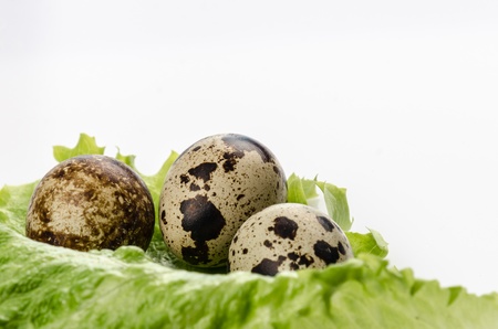 Quail egg and fresh salad