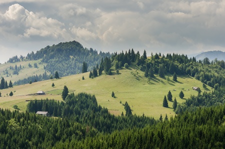 Meadow, trees and a mountain homeの写真素材