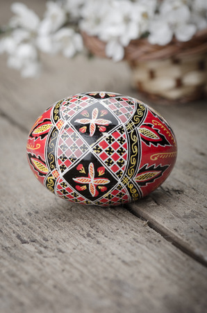 Painted  easter egg  and plum cherry flowers on wooden surfaceの写真素材