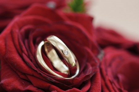 Weeding rings presented in a red rose close upの写真素材