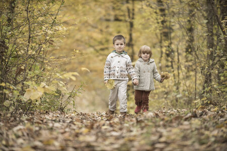 Children  walking and playing in a forest with yellow leavesの写真素材