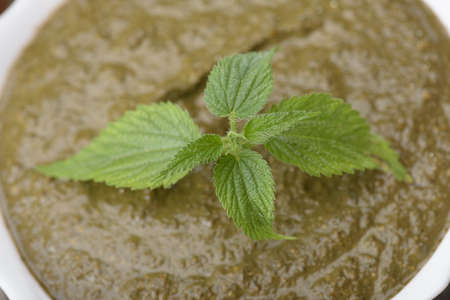 Nettle cream  soup in a white bowl on a wooden surfaceの写真素材