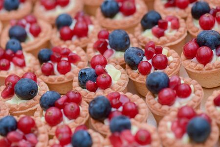 Mini tarts with vanilla cream , blueberries and redcurrants for candy barの写真素材