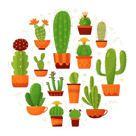 Different types of cute cacti in cartoon style are arranged in a circle. Circular vector composition of bright juicy houseplants.のイラスト素材