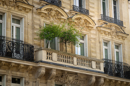 Part of the facade of a historic multi-storey building in Paris with two small trees planted on a beautiful balconyのeditorial素材
