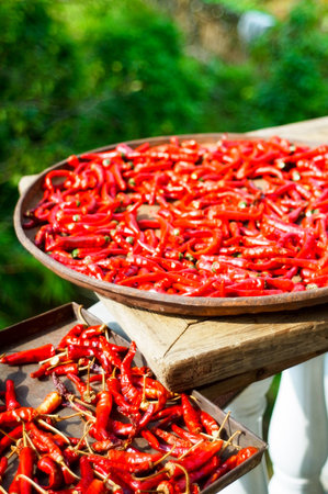 Close up view of red hot chilies on a bamboo trayの写真素材