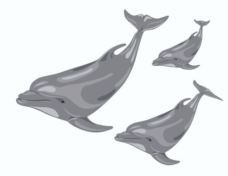 illustration of   three dolphins in the sea  の写真素材