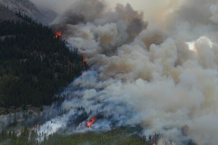 Huge flames burning coniferous trees in the forests of the Rocky Mountainsのeditorial素材