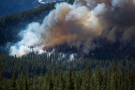 Helicopter in the vicinty of large forest fireの写真素材