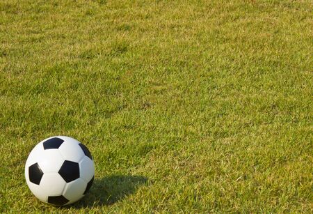 Football in a fields.の写真素材