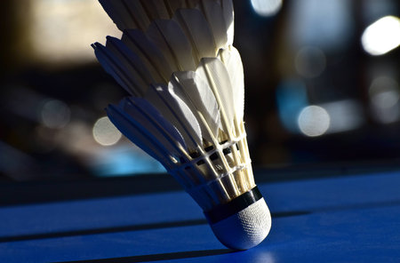 Badminton cork isolated feather made object photographの写真素材
