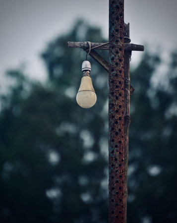 Street lamps isolated object with natural background photoの写真素材