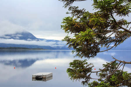 mountain blue lake lanscape with the morning mist at the background and a pine at the foregroundの写真素材