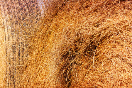 haystack at the farm - texture background photo