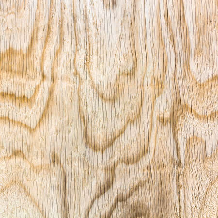 Wood textureの写真素材