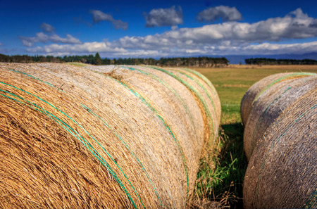 autumn landscape with haystack at the farm photoの写真素材