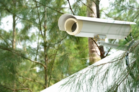 security camera on the fence next to the jungle