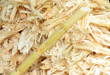 The sugarcane is crush by crush machine to get the juiceの写真素材