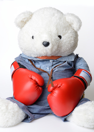Big white Teddy Bear wear the red boxing gloveの写真素材